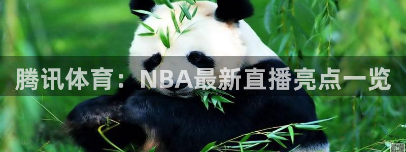 蓝鲸直播平台下载