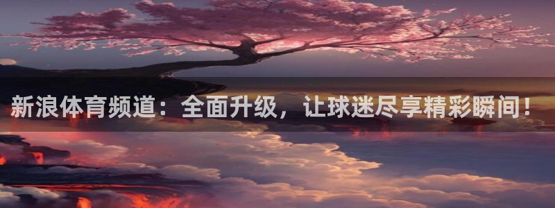 体育新闻