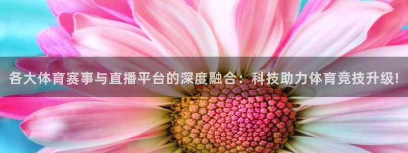 体育新闻