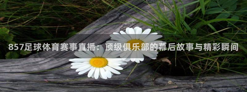 蓝鲸直播 安卓