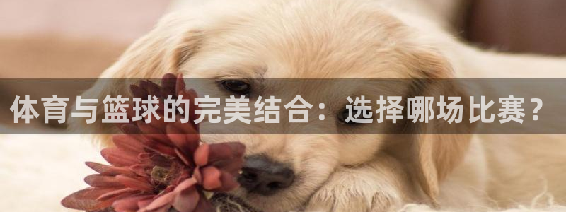 蓝鲸直播app ios