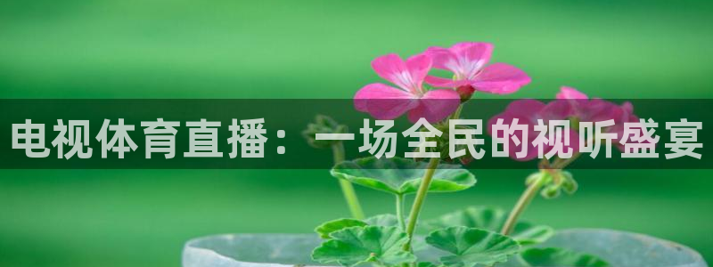 体育新闻